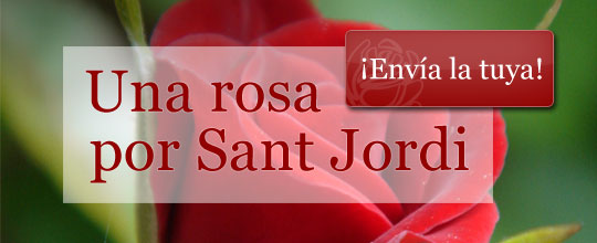 Una rosa por Sant Jordi